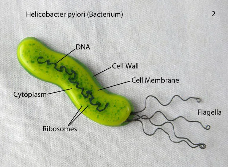 Cel Mai Bun Tratament pentru Helicobacter Pylori: O Abordare Modernă și Eficientă