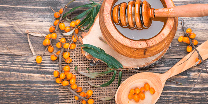 Catina cu Miere: Bucuria Unui Elixir Natural si Beneficiile Sale Uimitoare