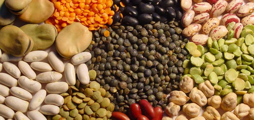 surse proteine vegetale