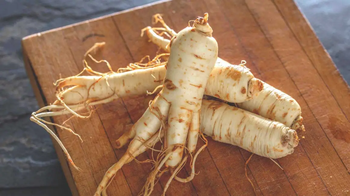 Ginseng: O Analiza Profunda a Beneficiilor si Utilizarilor Sale